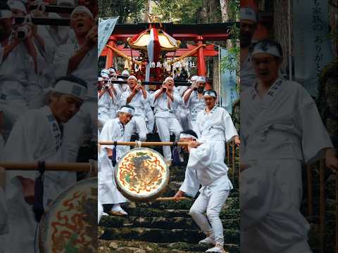 水神を祀る神社、今もなお信仰を集める神霊の坐す御滝