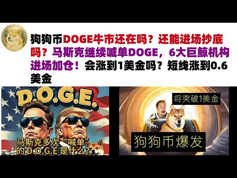 狗狗币DOGE牛市还在吗？还能进场抄底吗？马斯克继续喊单DOGE，6大巨鲸机构进场加仓！会涨到1美金吗？短线涨到0.6美金#DOGE币#马斯克狗狗币#DOGE行情分析!