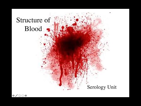 Forensic Serology: Notes 1 - Structure of Blood