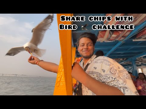 Share chips with Bird 🦅 challenge in Mumbai near Taj hotel 🏨 on boat⛴️