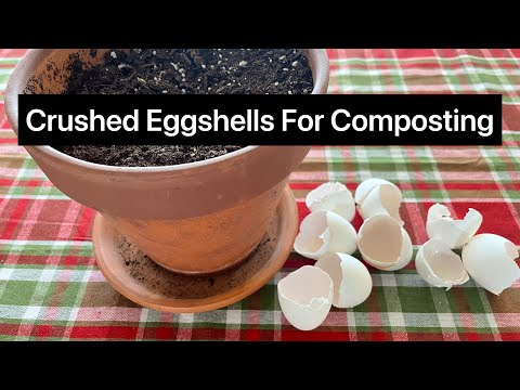 Crushed Eggshells For Composting