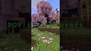 POVIn MinecraftBe like￼￼