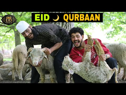 Eid Qurbaan Kashmiri Funny Drama