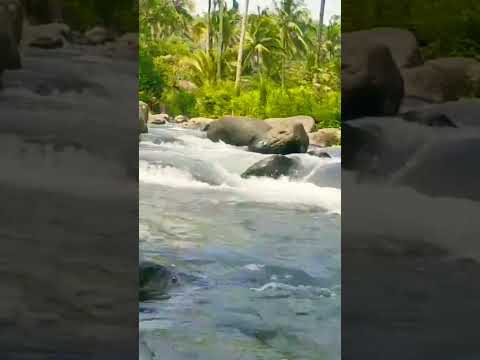 Relax your brain with the soothing sound of water #nature #riversounds #relax #soothingsound #asmr