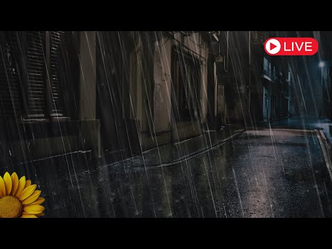 🔴CHUVA🌧️ | VENTO |  TROVOADAS⚡: BARULHOS Perfeitos para RELAXAR, DORMIR e DESCANSAR💤