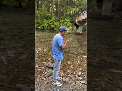 Itne saare salmon ek Sath Indian river Sitka Alaska #ytshorts #shorts