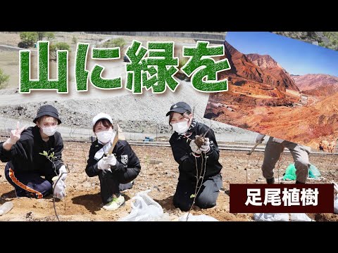 足尾の山に緑を！植樹ボランティア