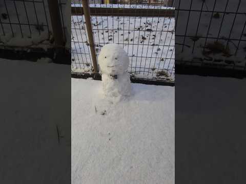 【福岡でも雪】ＪＲ九州鹿児島本線通常運行2025.1.10