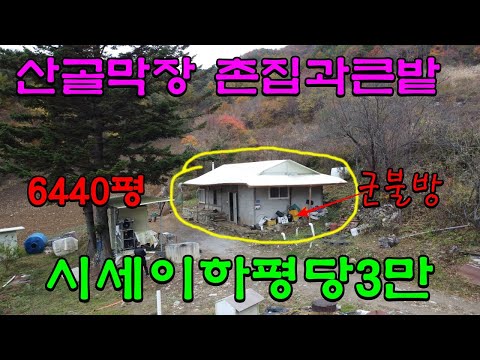 (재업)정선 산골살이 골막장 농가주택과큰밭/6440평 급매당3만/시세이하 정선촌집정선부동산매매/정선산약초재배용