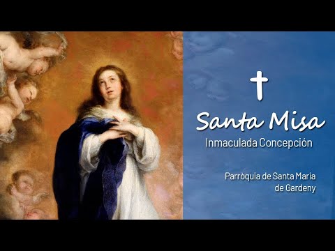 🔴 SANTA MISA EN VIVO | SOLEMNIDAD DE LA INMACULADA CONCEPCIÓN DE LA VIRGEN MARÍA