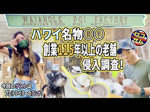 【カイルアぶらり旅】ハワイ名物〇〇の老舗に潜入捜査！