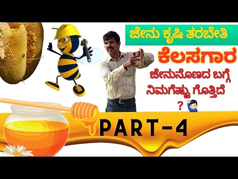 PART -4 ಕೆಲಸಗಾರ ಜೇನುನೊಣವನ್ನು ಗುರುತಿಸಿ ತಿಳಿದುಕೊಳ್ಳಿ | identify and understand  workers in be family