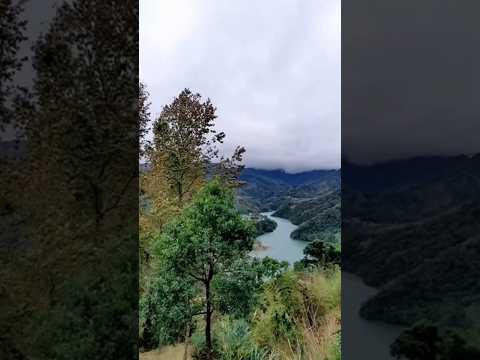 角板山行館： 遠眺溪谷與群山的開闊風景，季節限定賞梅花