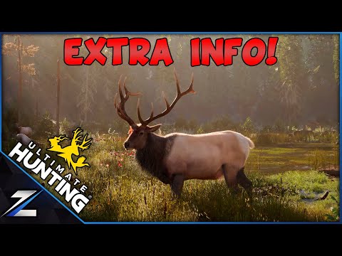 More Ultimate Hunting Info - Guns, Animations and More!