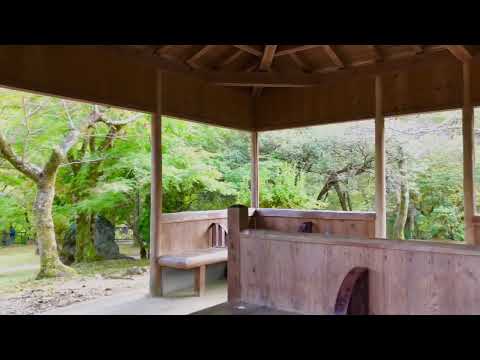 京都をウロウロ❣️     嵐山・亀山公園へ往復約１５kmのポタリング