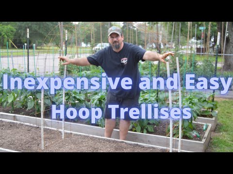 Inexpensive and Easy Hoop Trellises