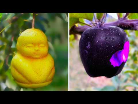 20 Most Unique Fruits You Didn’t Know Exist