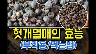 헛개나무열매 효능 부작용 그리고 끓이는법은?