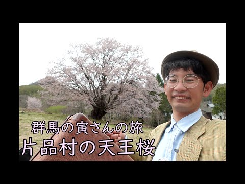 群馬の寅さんの旅　片品村の天王桜