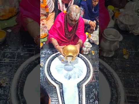 Baidyanath Dham Jyotirling🙏 #mahadev #mahakal #kedarnath #harharmahadev #viralvideo #trendingshorts