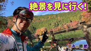 【坂#14】南伊奈ヶ湖　紅葉の絶景を求めて❗️　坂みち探訪