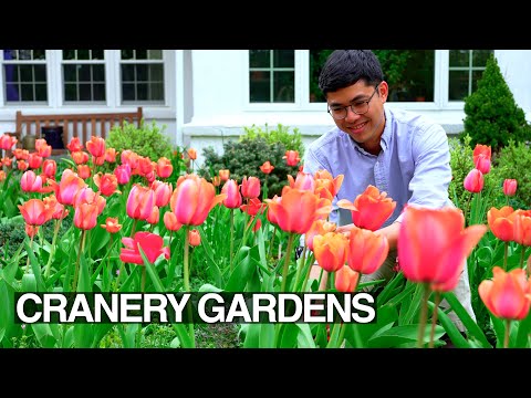 April Garden Tour 2024