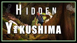 Exploring Hidden Yakushima Island | Japans Secret Paradise