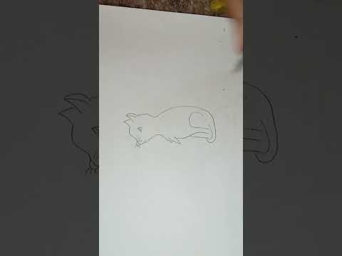 A cat drawing | easy cat drawing #snehart #drawing