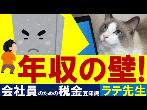 【年収の壁】税金＆社会保険の壁をやさしく解説！/猫好き税理士