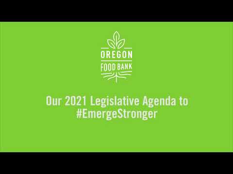 Our 2021 Legislative Agenda to #EmergeStronger