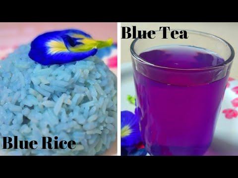 Navratri Day 3 💙 |Blue Rice & Blue Tea Recipe | butterfly pea flower tea