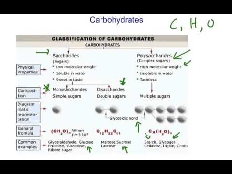 Carbohydrates