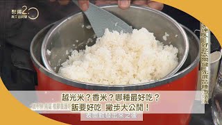 越光米？香米？哪種最好吃？飯要好吃 撇步大公開！【聚焦2.0】第479集