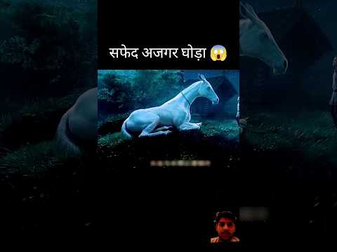 सफेद अजगर घोड़ा 😱 l #movie #shorts #movieexplainedinhindi #movieexplained