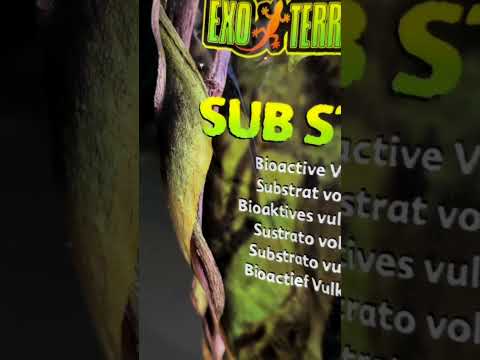 Exo Terra Sub Stratum | Ultimate Bio Active Substrate!