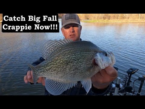 Want to Catch More Fall Crappie? Watch This Now