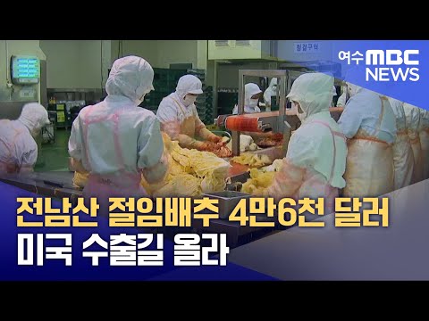 전남산 절임배추 4만6천 달러 미국 수출길 올라 (250114화/뉴스데스크)