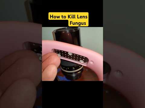 How to Kill Camera LENS Fungus #nikon #photography #camera #fungus