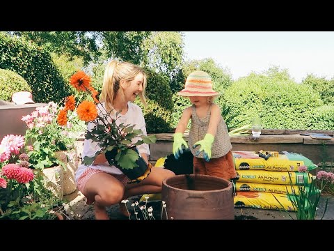 Tidying The Garden, Old Diaries & The Biggest Compliment | Vlogust Day 13