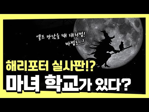 [모몰알도] 엘프에 대해서 배우고 싶다면 어디로? 해리포터 학교 실사판이 있다?