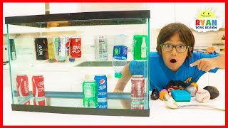 Sink or Float Density Experiments for Kids with Soda!!!!