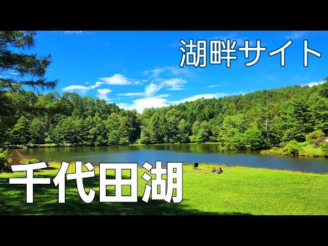 【長野県】静かな湖畔でチルタイム【千代田湖キャンプ場】【ソロキャンプ】