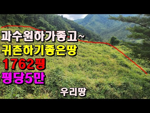 과수원하기좋고~나홀로귀촌하기좋은 아주싼땅/평당5만/1762평/정선부동산매매/정선토지매매