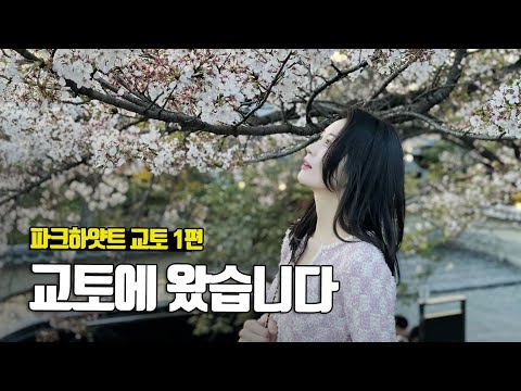 봄날의 교토를 좋아하세요? 파크하얏트 교토 1편 - 부부탐정 교토여행 ep.1