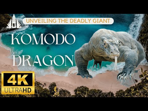 Unveiling the Deadly Giant: The Amazing Life of the Komodo Dragon - Nature's Perfect Predator