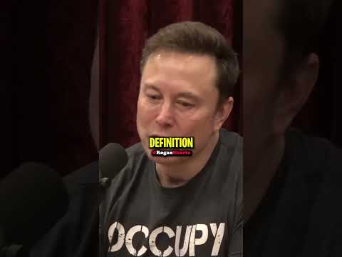 Elon Musk on the 2024 Election