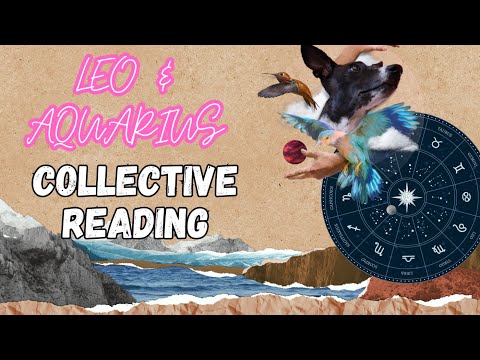 A message for Leo ♌️ and Aquarius ♒️ | Collective Energy Reading | Timeless