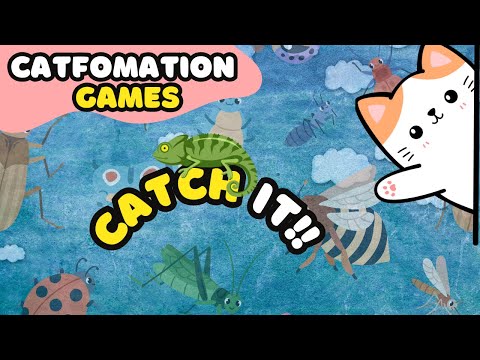 Games For Cat And Dogs: Catching Mice!