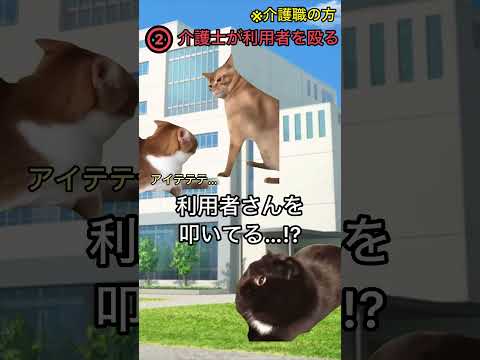 退職代行を使おうと思った瞬間4選【猫ミームver】#猫ミーム #猫ミーム日常 #仕事辞めたい #ブラック企業 #退職代行