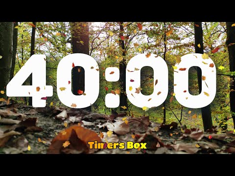 Fall 40 Minute Autumn Timer with Relaxing Music 🍂 Teachers, Classroom, Kids, Study #RelaxingMusic